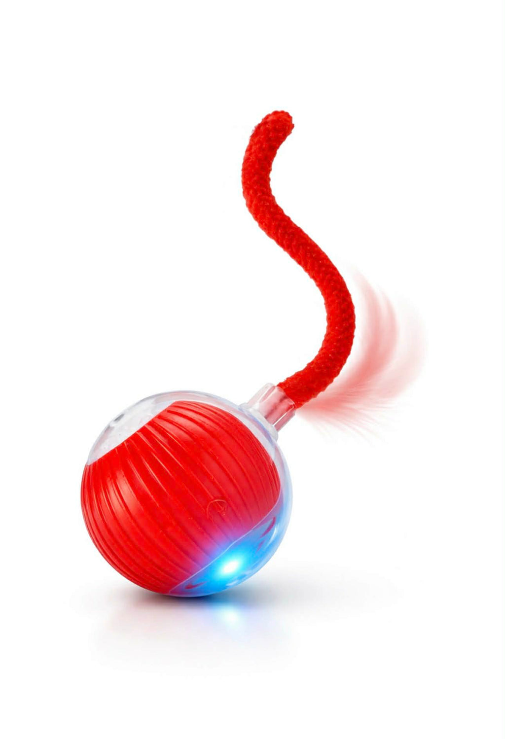 Votre chat s’ennuie ? Cette balle le rendra fou en 5 secondes 😻