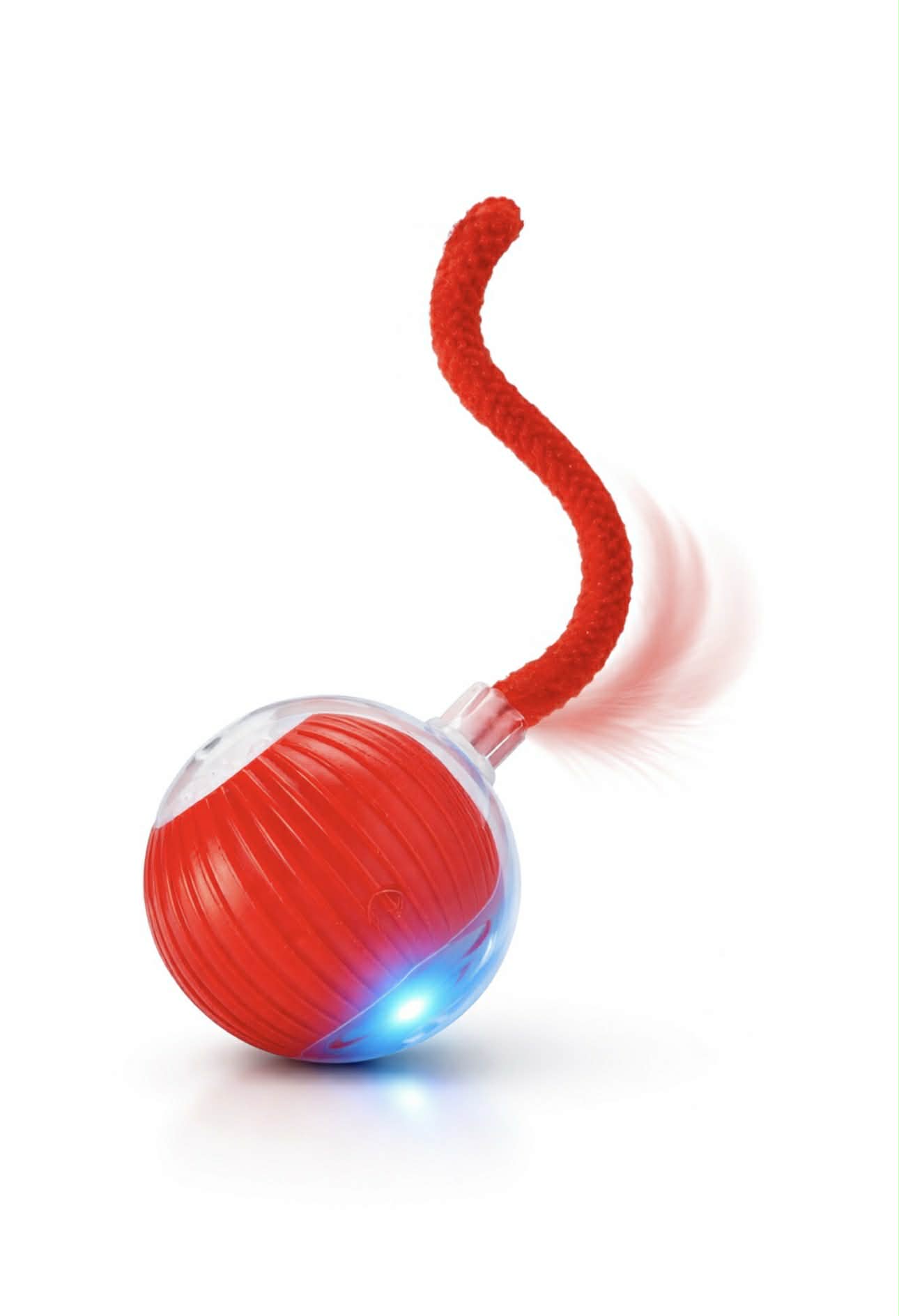 Votre chat s’ennuie ? Cette balle le rendra fou en 5 secondes 😻